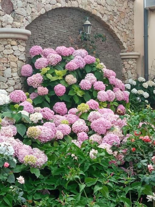 A Casa Di Gi Bed and Breakfast Porto Torres Buitenkant foto